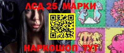 индика Ирбит