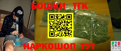индика Ирбит