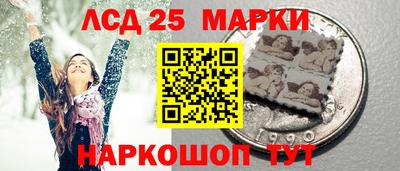 индика Ирбит