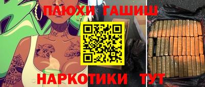индика Ирбит