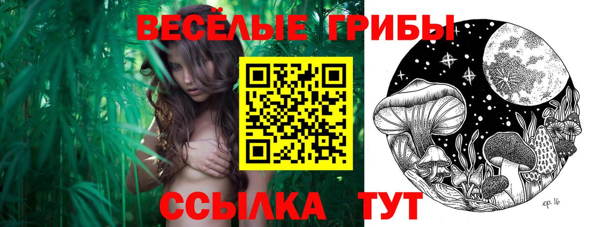 Галлюциногенные грибы Magic Shrooms Кыштым